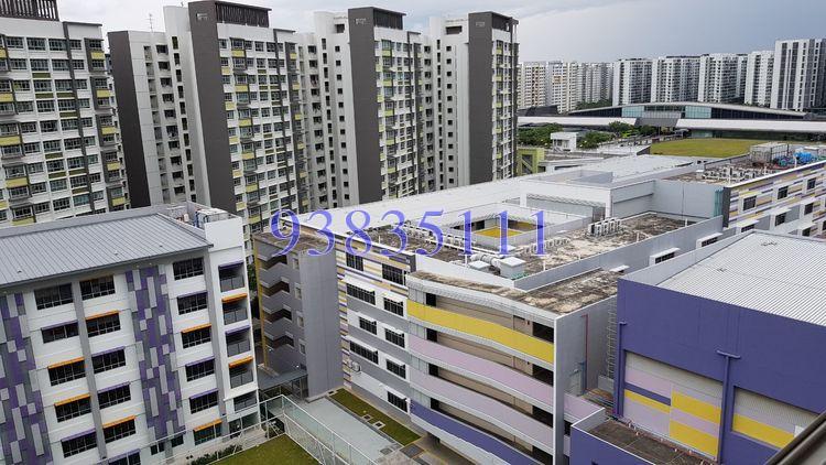 Blk 305B Punggol Road (Punggol), HDB 3 Rooms #170281272